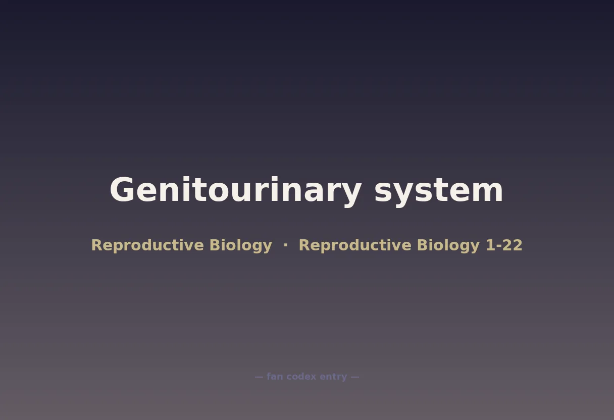 Genitourinary system
