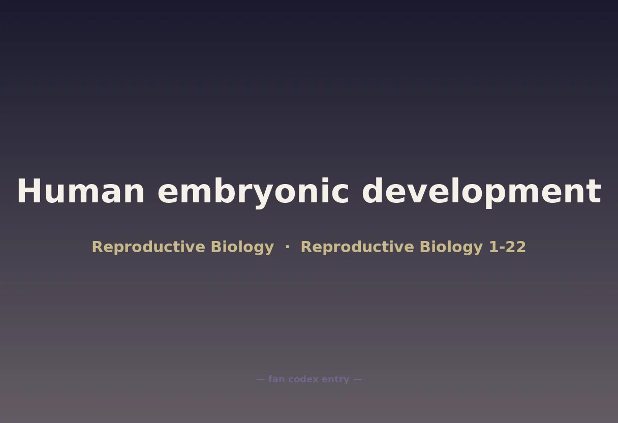 Human embryonic development