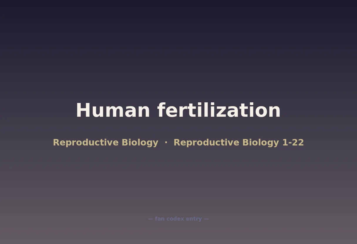 Human fertilization